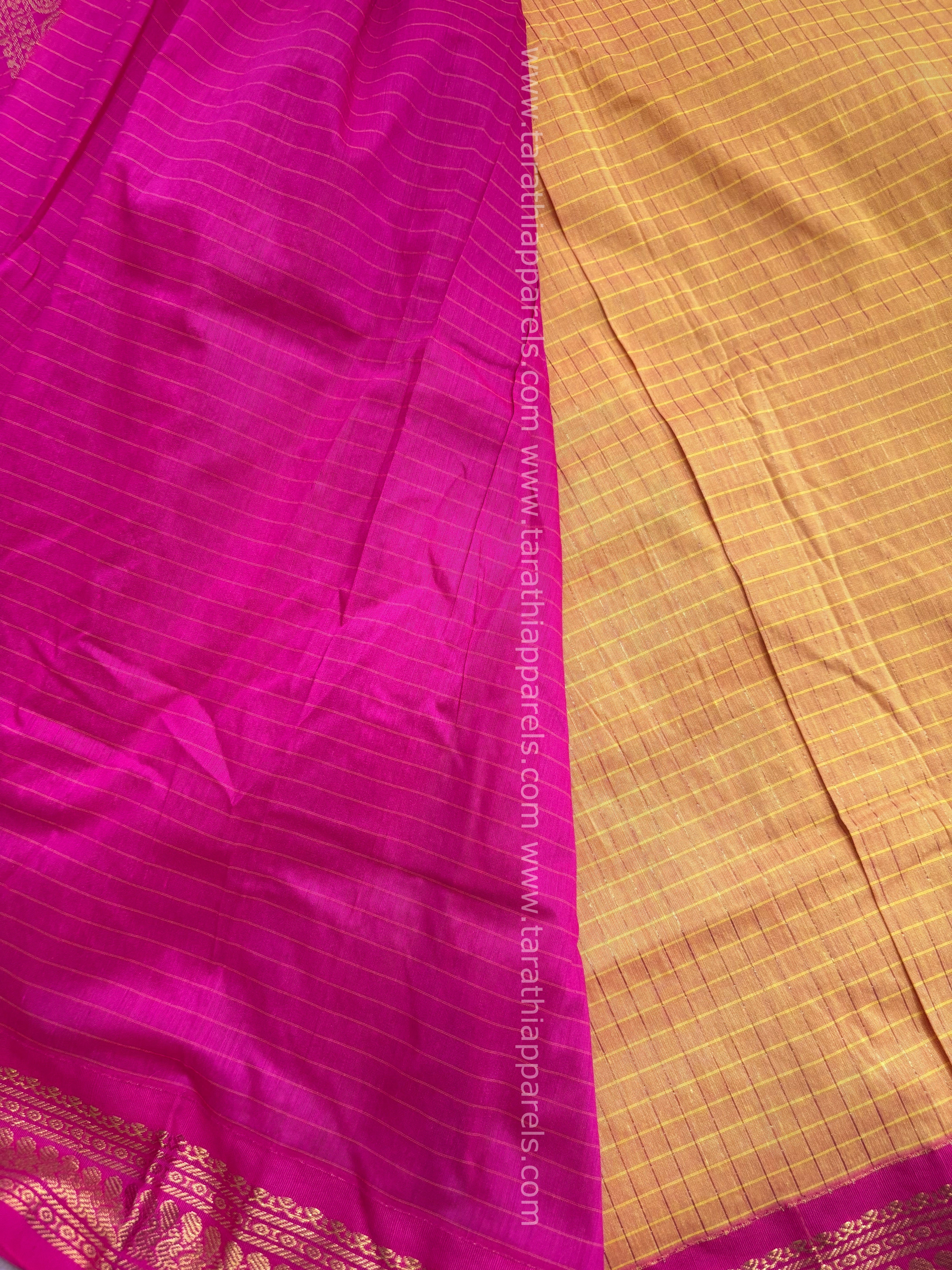 Tarathi Kattam Kalyani Cotton saree KC11